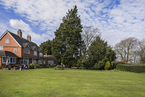 Photo 13- click for photo gallery